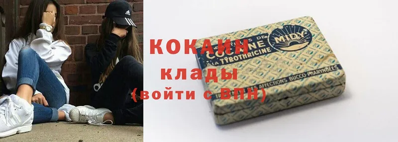 Cocaine FishScale  наркошоп  Иланский 