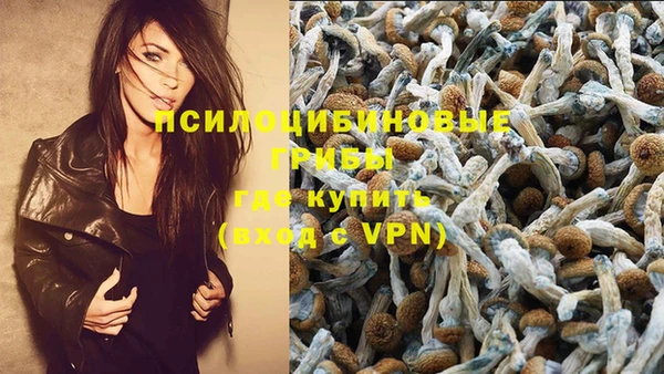 spice Мегион