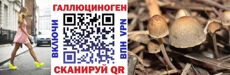 Галлюциногенные грибы GOLDEN TEACHER  продажа наркотиков  hydra зеркало  Иланский 